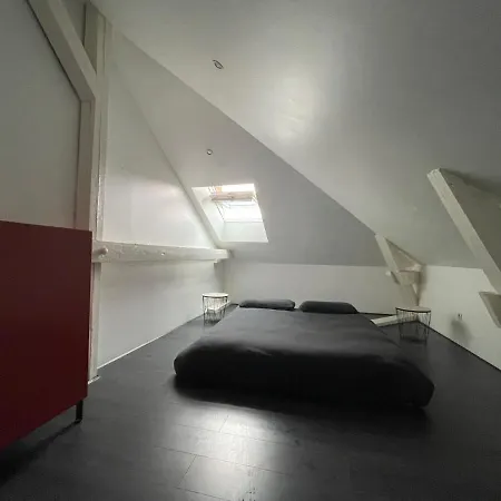 Dream Loft Appartement Colmar